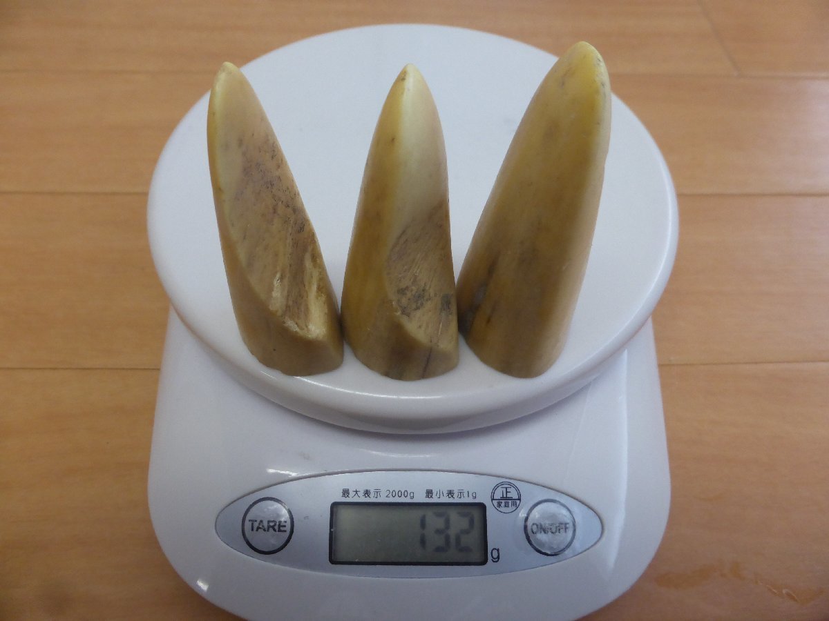 2023年最新】ヤフオク! -カバ 牙の中古品・新品・未使用品一覧