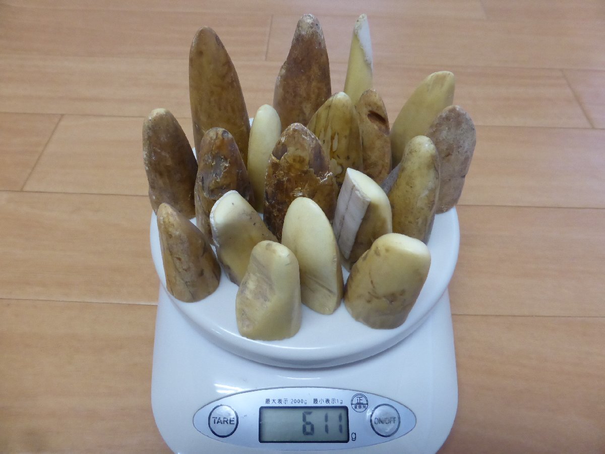 2023年最新】ヤフオク! -カバ 牙の中古品・新品・未使用品一覧