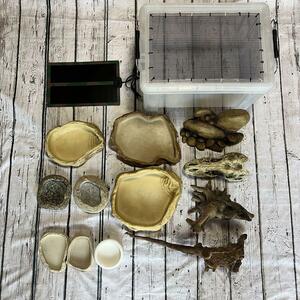  anonymity delivery free shipping . bargain breeding supplies set bait plate driftwood ekizo tera box 