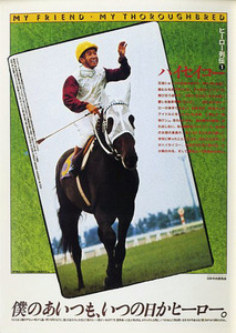 * high Seiko hero row . postcard 2000 year reprint JRA elected goods not for sale increase . end Hara Rhododendron indicum . idol photograph image horse racing postcard prompt decision 