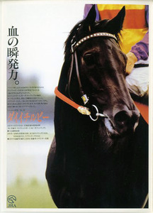 * large ichi ruby hero row . postcard 2000 year reprint JRA elected goods not for sale Kawauchi . cheap rice field memory Sprinter zS photograph image horse racing prompt decision 