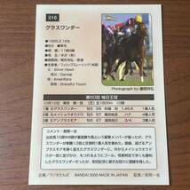 競馬 トレカ サラブレッドカード グラスワンダー 1999-016_画像2