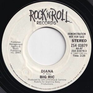 Big Ric Diana / Diana Rock 'N' Roll US ZS4 03879 203693 ROCK POP ロック ポップ レコード 7インチ 45