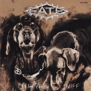 ◇'91国内廃盤◇ Fate - Scratch'n Sniff