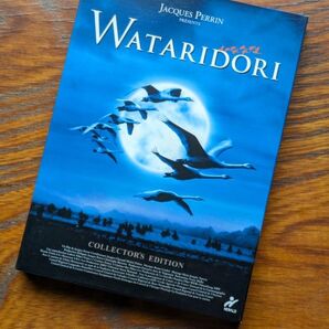 WATARIDORI