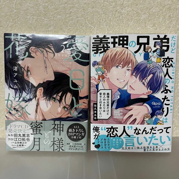 渚アユム先生「愛日と花嫁2 限定版」小冊子付　佐々本あゆ先生「義理の兄弟だけど恋人のふたりは堂々と付き合いたい」