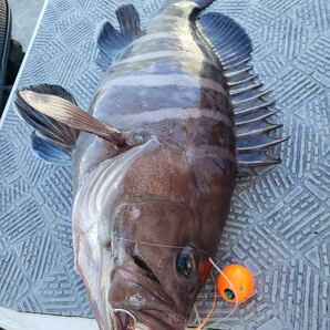 タングステン タイラバ タイラバヘッド 鯛ラバジグ ワインレッド 45g60g80g各1個 送料無料の画像7
