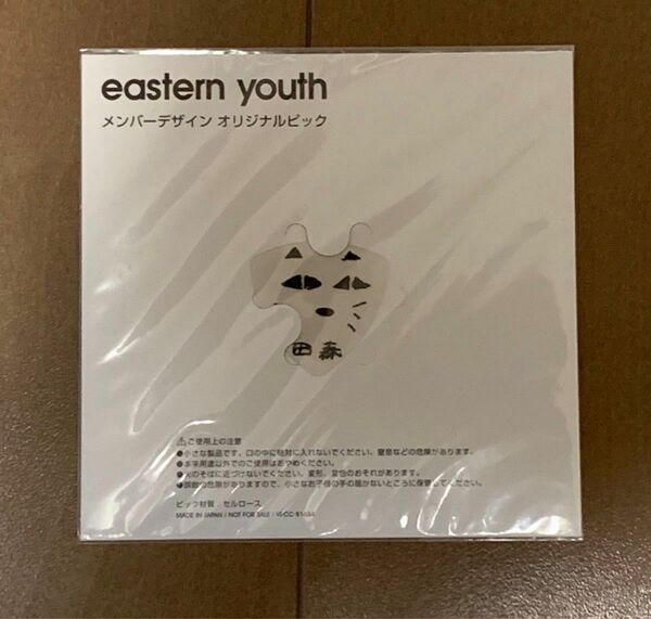 イースタンユース　ピック　eastern youth