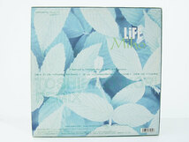 MIHO LIFE TOSHIHIKO MORI REMIX 12インチ レコード 12inch ミホ 稲村光穂 Steady&Co カラーヴァイナル CREAM RECORDS_画像2