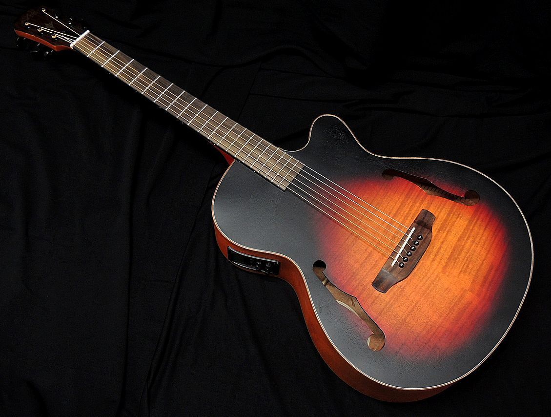2023年最新】ヤフオク! -fホールギターの中古品・新品・未使用品一覧
