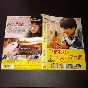 ひまわりと子犬の七日間　レンタル落 DVD