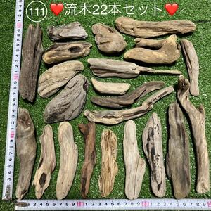 〈111〉流木22本セット