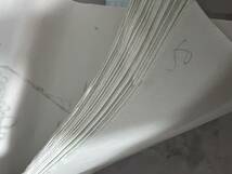 対幅用 宣紙 対聯 木版水印 竹の図 135x35cm 中国 文房四宝 _画像6