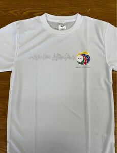 限定品！2022インターハイ　Tシャツ　ミズノ　Mサイズ