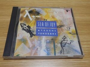 横関敦 CD「SEA OF JOY」ジャパメタ THE BRONX LANCE OF THRILL THE SLUT BANKS ミュージックステーション