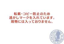 1125 岐阜（木曽川・日本ライン）急流中の奇巌めがね岩の妙景 日本ライン勝景【戦前絵葉書】_画像3