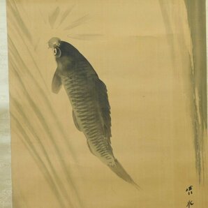 阿出川真水 鯉の瀧昇 鯉滝登図 日本画 肉筆絹本 時代箱 長期保管品 w230609の画像5