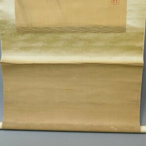 阿出川真水 鯉の瀧昇 鯉滝登図 日本画 肉筆絹本 時代箱 長期保管品 w230609の画像6