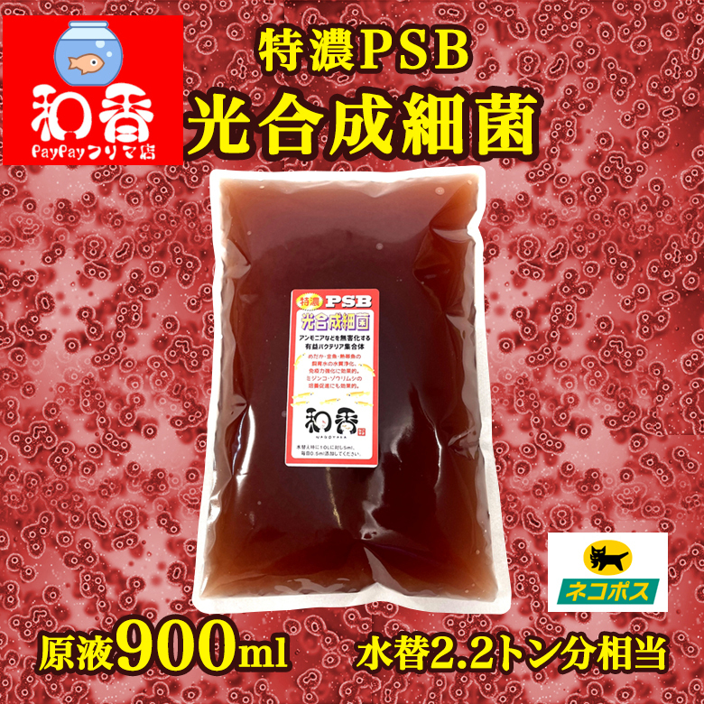 ダブルセット オオミジンコ ミナミヌマエビ 増えます|PayPayフリマ
