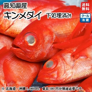  gold eyes sea bream gold me large . body 800~1000g 1 pcs Kochi prefecture production sashimi . fish . fish dried food under processing ending free shipping Hokkaido / Okinawa / Tohoku is postage separately . peace sea. . wholesale store 