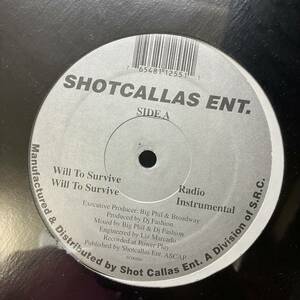 ☆☆☆☆ HIPHOP,R&B SHOTCALLAS ENT. - WILL TO SURVIVE INST,シングル レコード 中古品