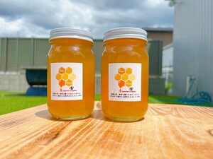  редкий Япония Mitsuba chi местного производства натуральный мед 100% 600g(300g2 бутылка ) сырой мед 100 цветок меласса местного производства пчела меласса 