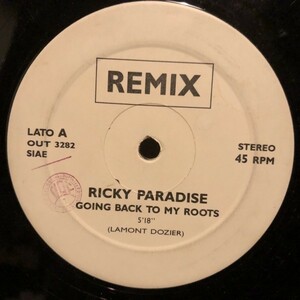 Ricky Paradise / Going Back To My Roots (Remix)