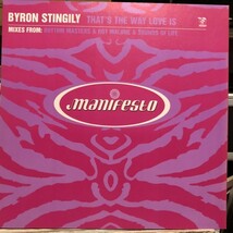 Byron Stingily / That's The Way Love Is_画像1