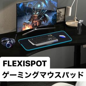 FLEXISPOT フレキシスポット マウスパッド MP016