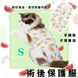 [ watermelon pattern S] cat dog . after clothes .... hand . skin protection female Elizabeth collar wear dog clothes cat clothes 