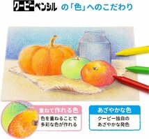 0907-1 アウトレット品 サクラ クーピーペンシル 30色 限定生産品 セレクトセット 大人の塗り絵用 淡色中心配色_画像5