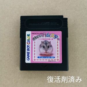 ゲームボーイ かわいい ハムスター