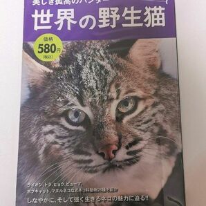 美しき孤高のハンター 世界の野生猫 写真集