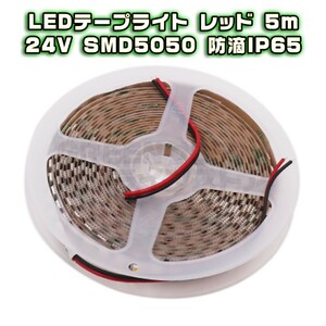 24V LED テープライト 5m レッド 防水 60LED SMD5050