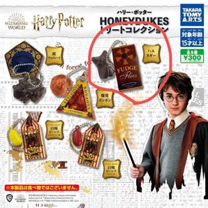 ハリーポッター　HONEYDUKES トリートコレクション　ハエヌガー