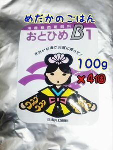 めだかのごはん　おとひめB1 100g×4個 リパック品　グッピー 熱帯魚