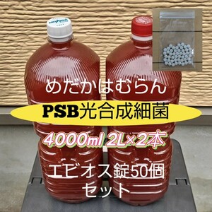 【4000ml】PSB光合成細菌+エビオス錠50個【めだか_はむらん】メダカ　金魚　ゾウリムシ ミジンコ　エサ　水質浄化　ヌマエビ　液肥 psb