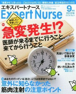 [A01120030]Expert Nurse (エキスパートナース) 2012年 09月号 [雑誌]
