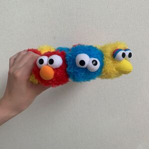 【Universal Studios Japanのカチューシャとイアリング・セサミストリート】