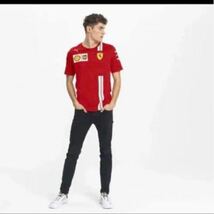 PUMA プーマ フェラーリ チーム S.ベッテル Tシャツ US L サイズ 新品未開封 _画像5