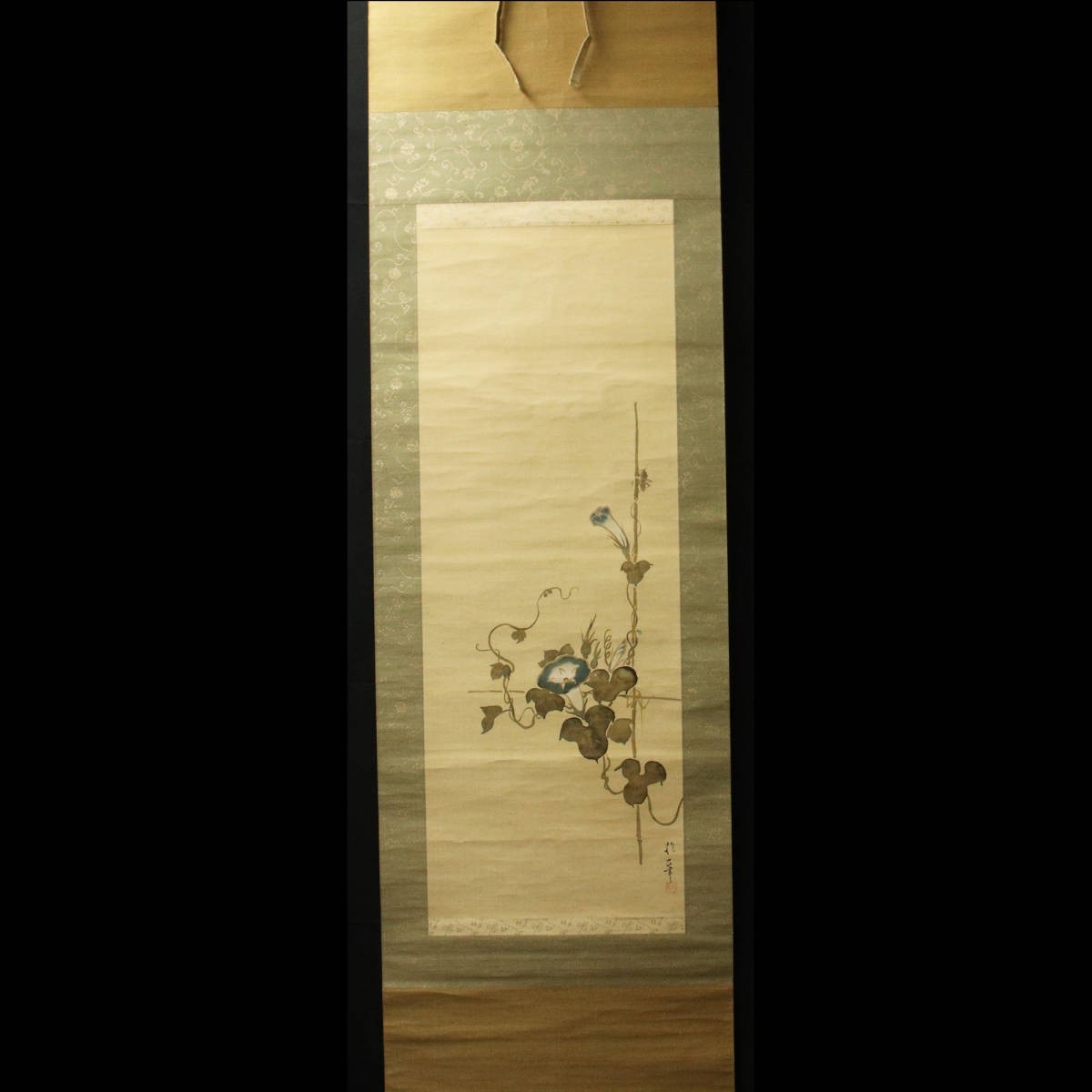 [Copia] ■ Pintura japonesa antigua ■ Libro de papel, supuestamente escrito por Sakai Hoitsu, Gloria de la mañana (obra maestra: Sakai Doitsu) 230512046, Cuadro, pintura japonesa, Flores y pájaros, Fauna silvestre