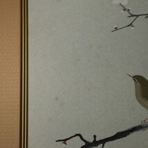 【真作】■ 金島桂華 ■ 「鶯」日本画/真作保証 230807008_画像6