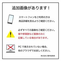 【真作】■ 岩崎巴人 ■ 「女の像」日本画/共シール 221126022_画像10