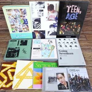 ◆SEVENTEEN CD/DIRECTOR'S CUT/WE MAKE YOU/YOU MAKE MY DAY/YOU MADE MY DAWN/LOVE&LETTER/GOING/2集 TEEN, AGE/SECTOR 17/FML◆z31311