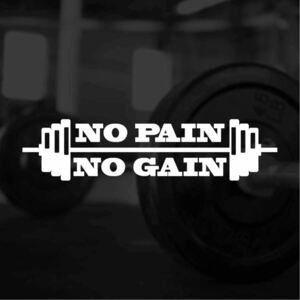 【カッティングステッカー】NO PAIN NO GAIN ノーペインノーゲイン バーベルデザイン 筋肉 gym ジム 筋トレ トレーニー ボディービル
