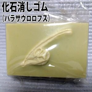 消しゴム 化石消しゴム 恐竜 パラサウロロフス