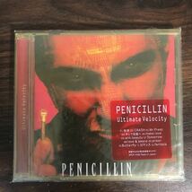 G2006 中古CD100円 PENICILLIN Ultimate Velocity_画像1