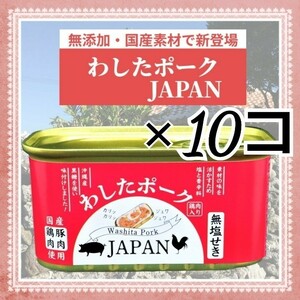 ↓今回のみsale↓10コ 2kg【新品◆匿名】無塩せきランチョンミート 200g／わしたポークJAPAN／減塩スパム 豚 鶏＊国産 無添加 保存料不使用