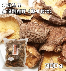 dried .. not yet selection another 300g. tree cultivation Ooita prefecture production with translation virtue for high capacity groceries shop. bottom power . confidence ... dry ........ Kyushu production domestic production domestic production 