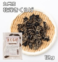 乾燥きくらげ 12g 無添加 九州産 乾物屋の底力 木耳 乾木耳 乾しきくらげ 干しきくらげ 徳用 業務用 国産 国内産_画像1